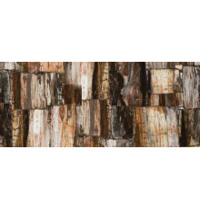 8331 Petrified Wood Classic, Concetto